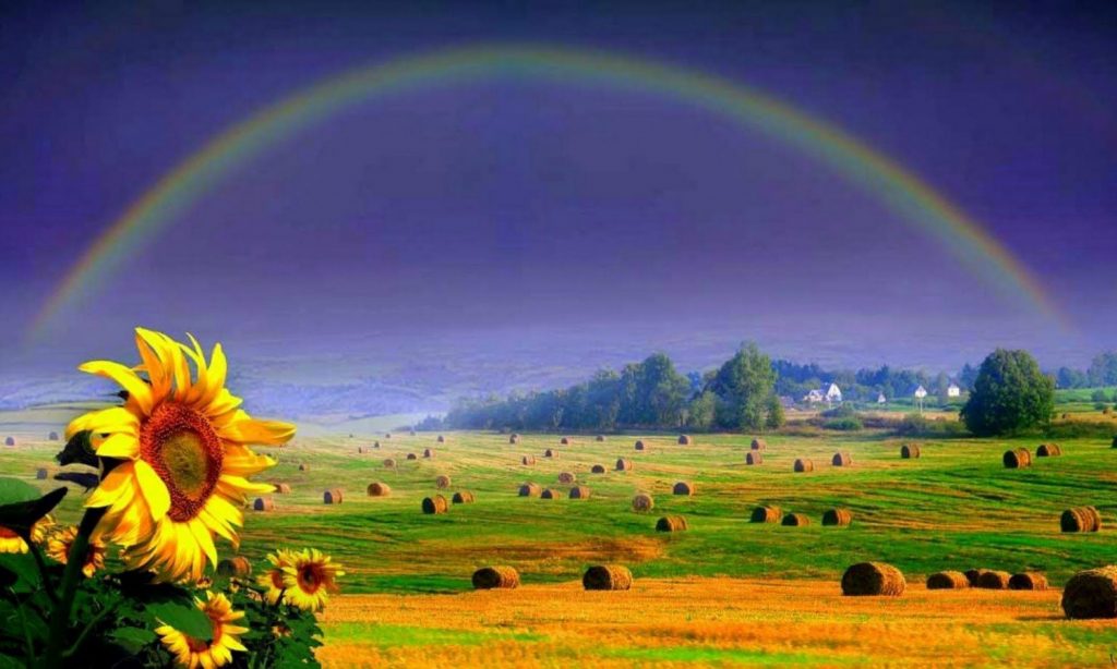 northern-kentucky-emmaus-ministries-luke-24-32-they-said-to-each